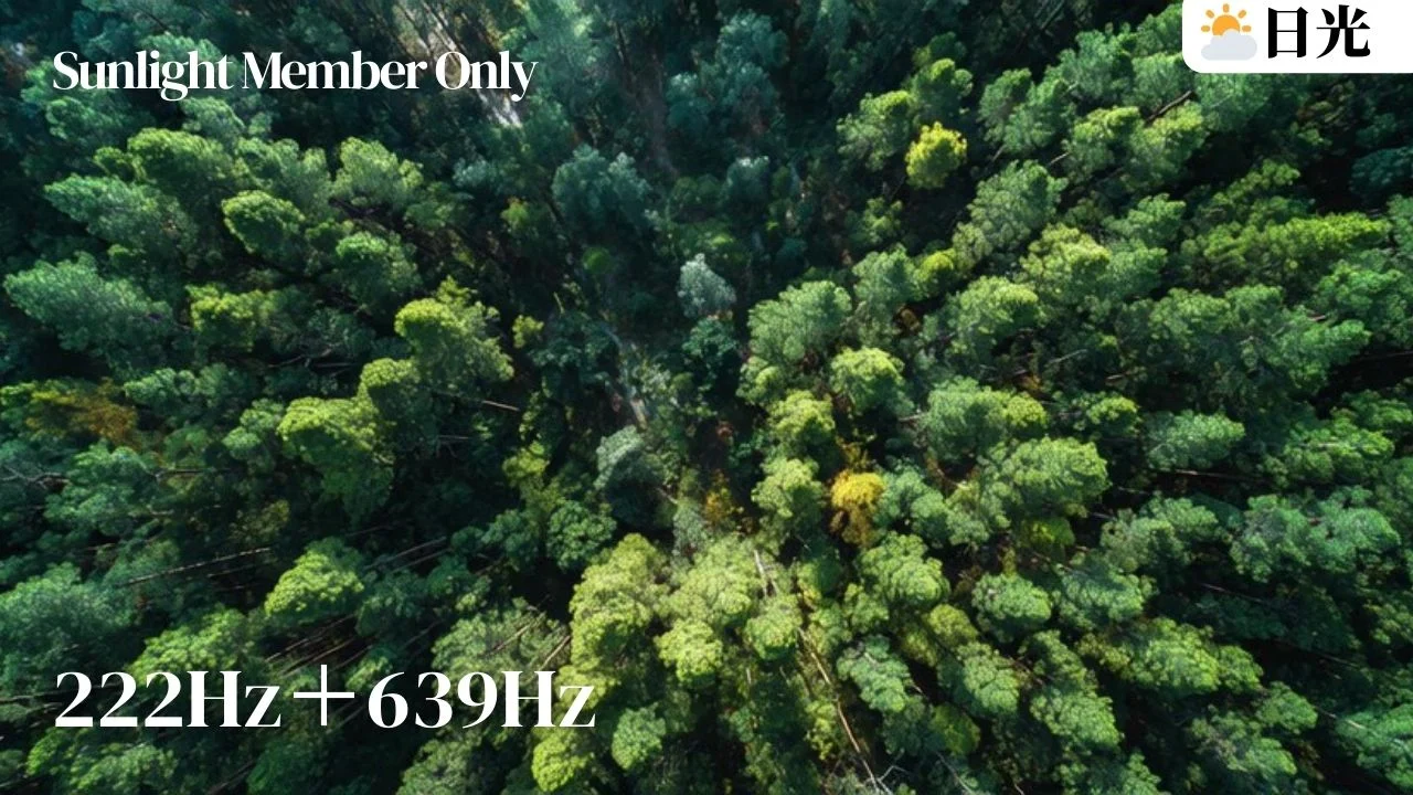 日光會員音樂:222Hz+家庭和諧、連結幸福|+639Hz(森林鳥鳴鋼琴)