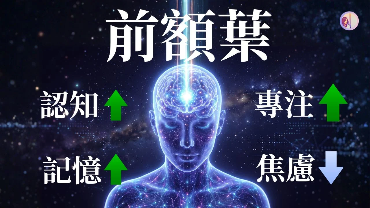 前額葉音樂,腦霧+焦慮▼、認知+記憶+專注▲|亞蒂絲冥想音樂#大腦音樂、腦波幫助
